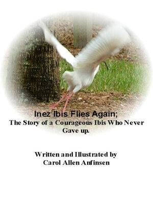 cover image of Inez Ibis Flies Again; the Story of a Courageous Ibis Who Never Gave up.